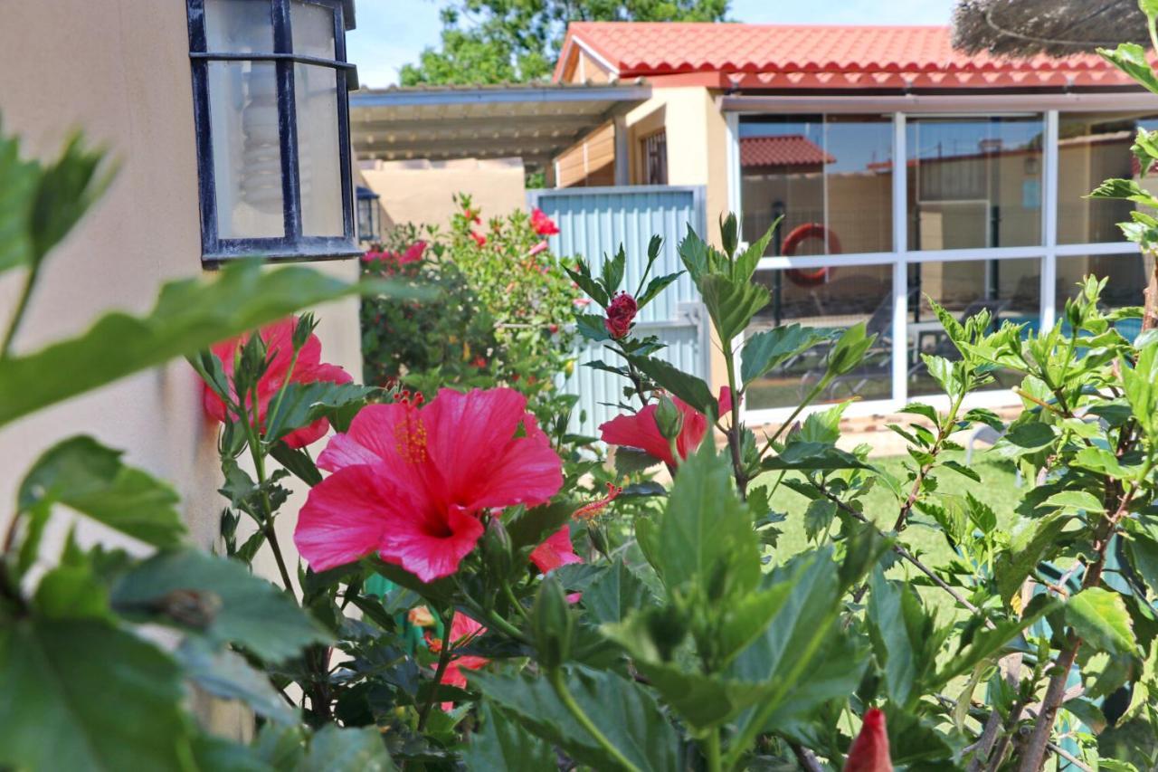 Bungalow Curro Pareja 97 Конил-де-ла-Фронтера Екстериор снимка